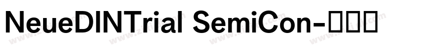 NeueDINTrial SemiCon字体转换